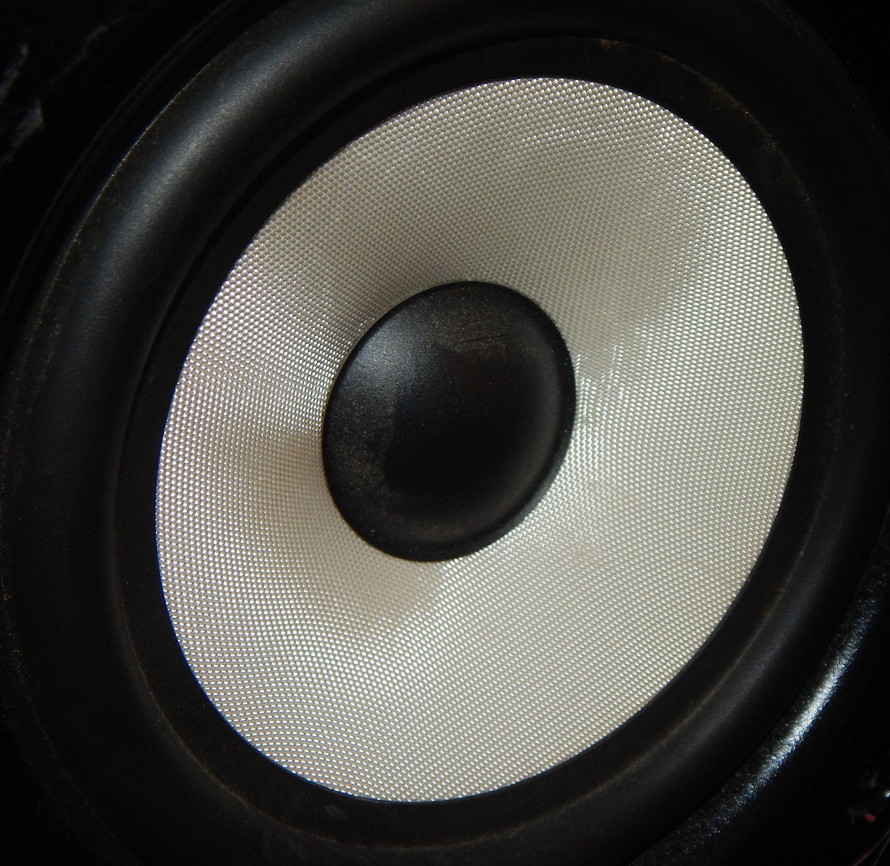 Close-up view of speaker driver components and cone construction
