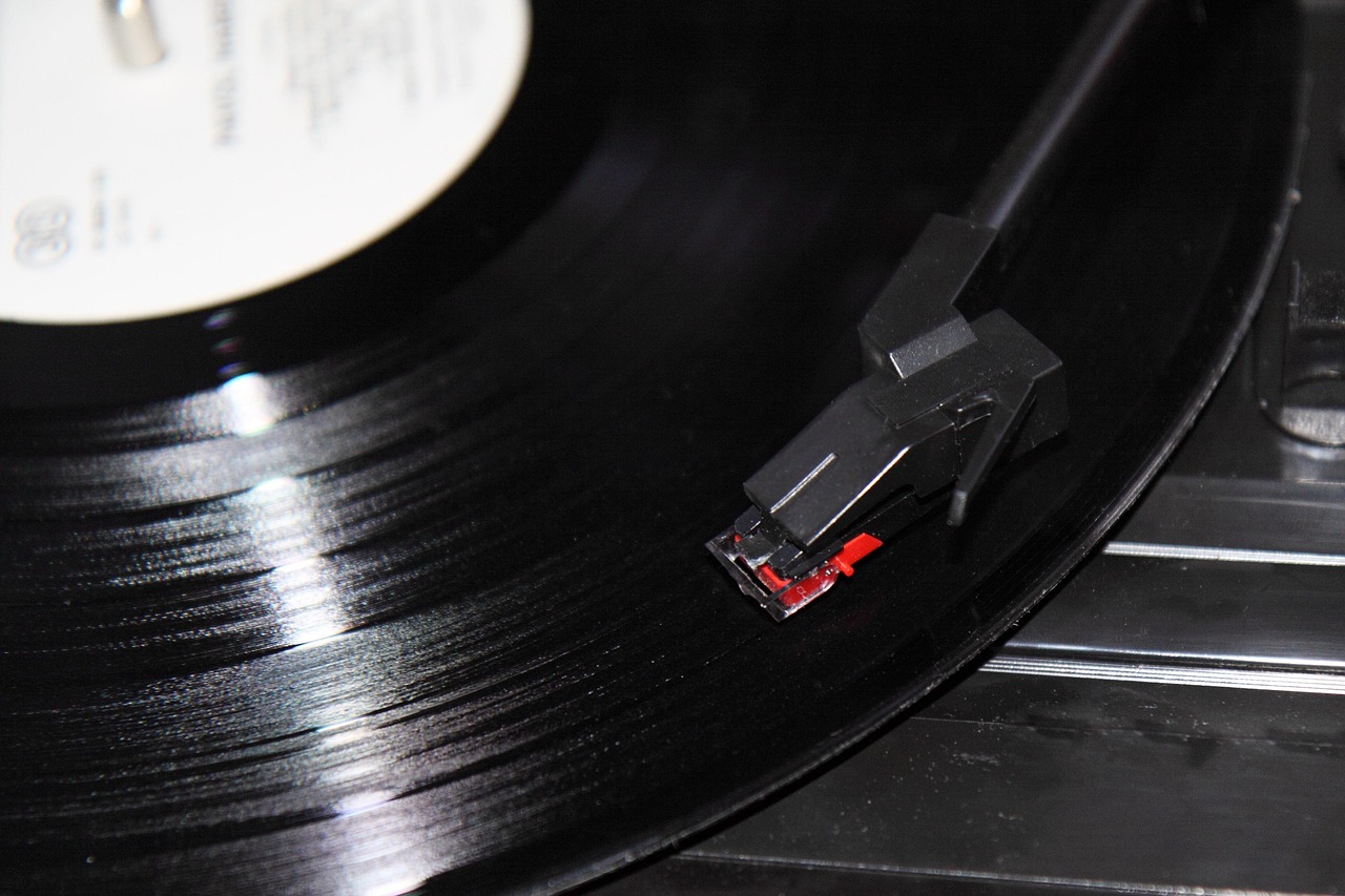 Vinyl turntable and audio equipment